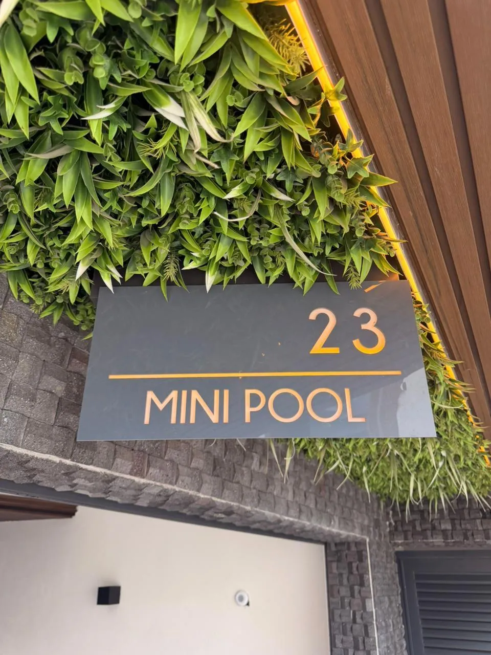 Alberca privada climatizada de la Suite Pool con área lounge